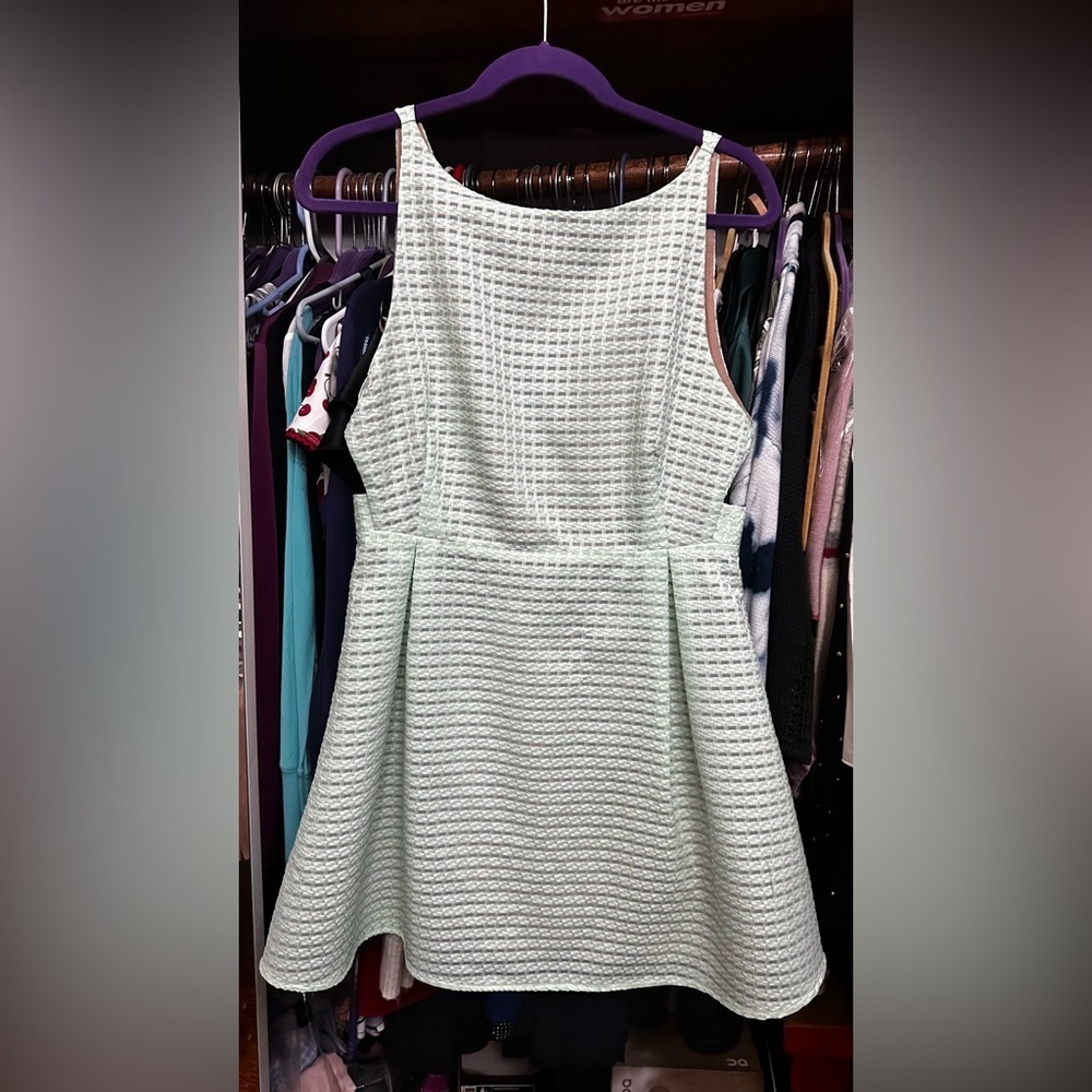 Lucca Couture Organza Fit & Flare Dress  👗 - Picture 4 of 13